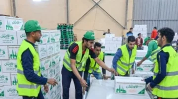 800 ألف كرتونة.. جمعية الأورمان تبدأ توزيع مساعدات غذائية لمستحقي الدعم في المحافظات